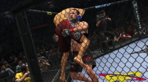 UFC UNDISPUTED 2010 - Image 3