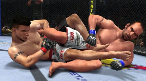 UFC UNDISPUTED 2010 - Image 2