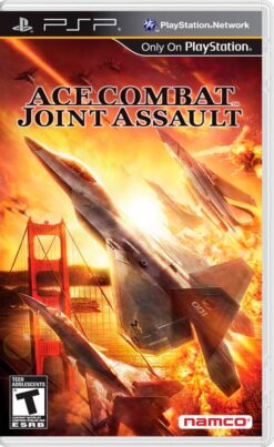 ACE COMBAT JOINT ASSAULT