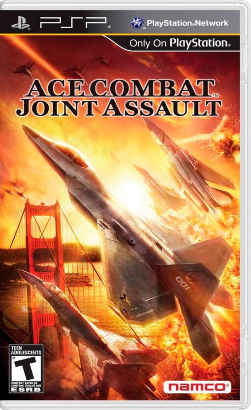 ACE COMBAT JOINT ASSAULT