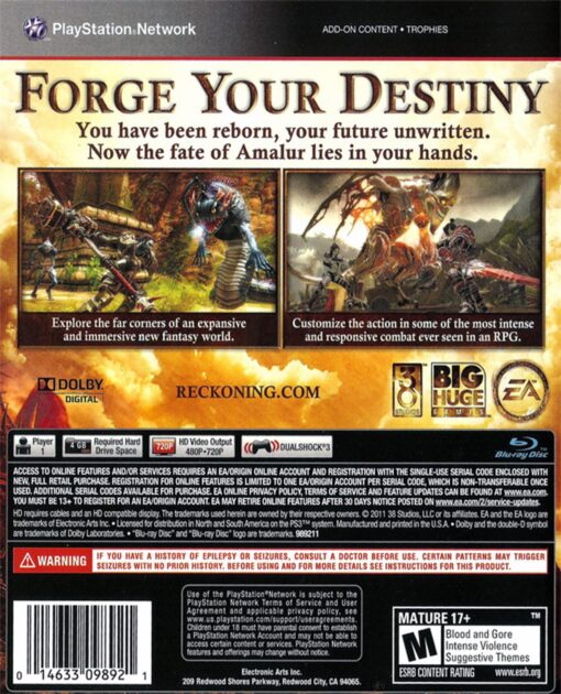 KINGDOMS OF AMALUR RECKONNING - Image 2