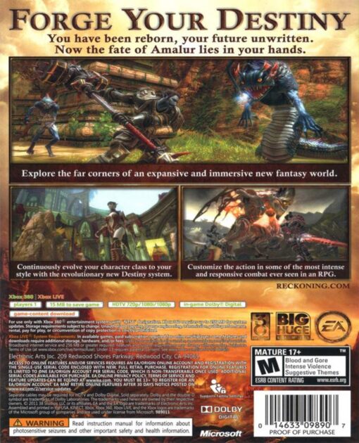 KINGDOMS OF AMALUR RECKONNING - Image 2