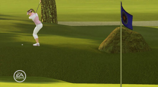 TIGER WOODS PGA TOUR 09 - Image 4