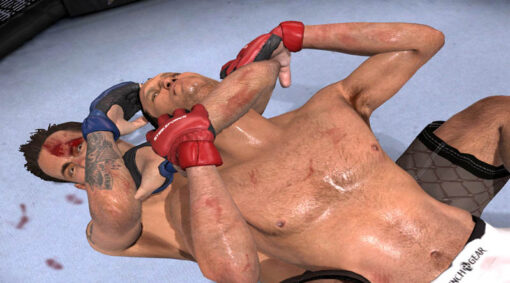 MMA - Image 3