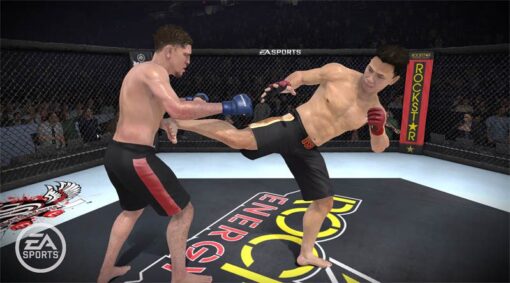 MMA - Image 2