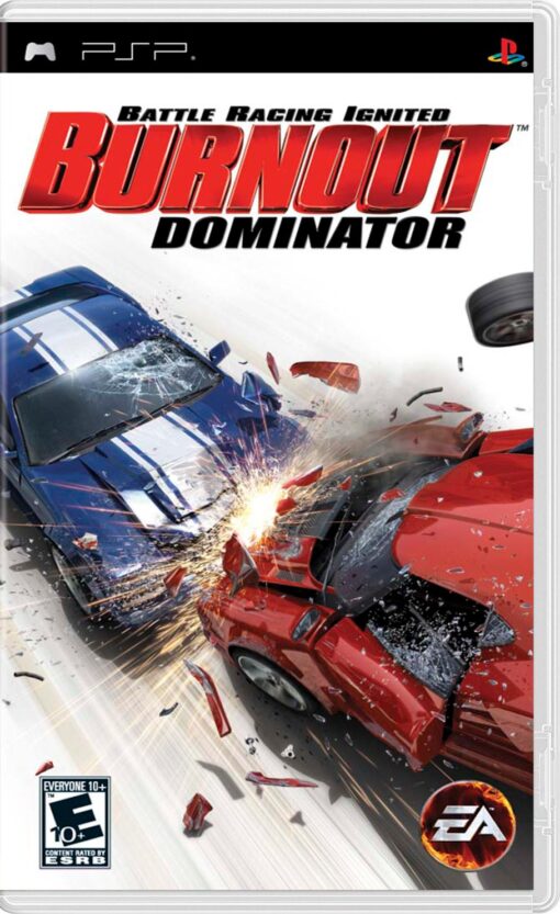 BURNOUT DOMINATOR