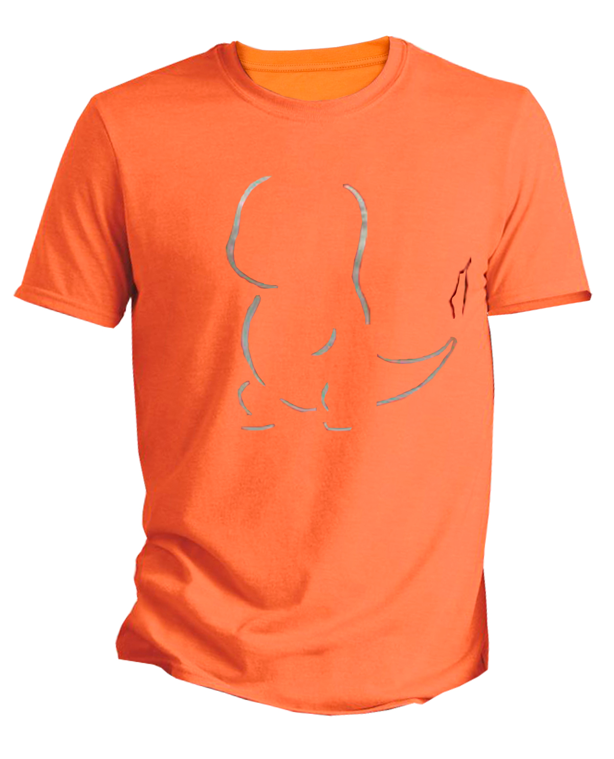 PLAYERA POKEMON CHARMANDER NARANJA GRANDE