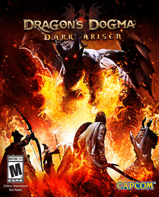 DRAGONS DOGMA DARK ARISEN - Image 2