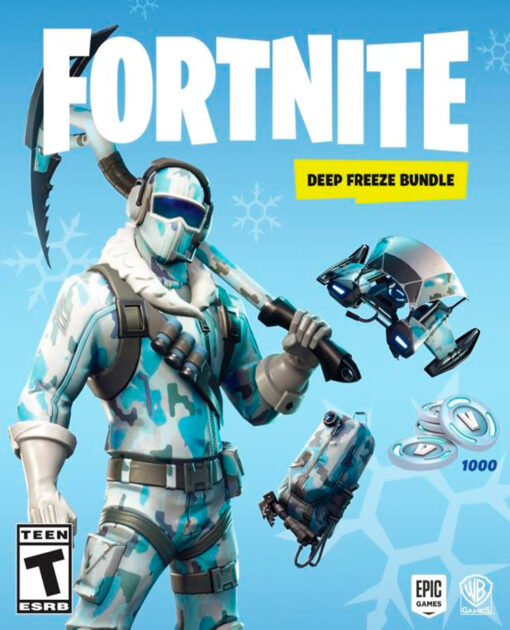 FORTNITE DEEP FREEZE BUNDLE - Image 3