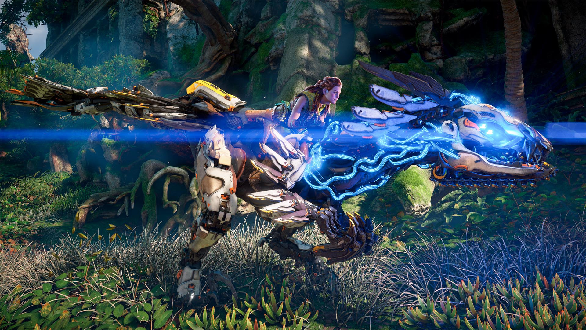 HORIZON FORBIDDEN WEST - Image 3