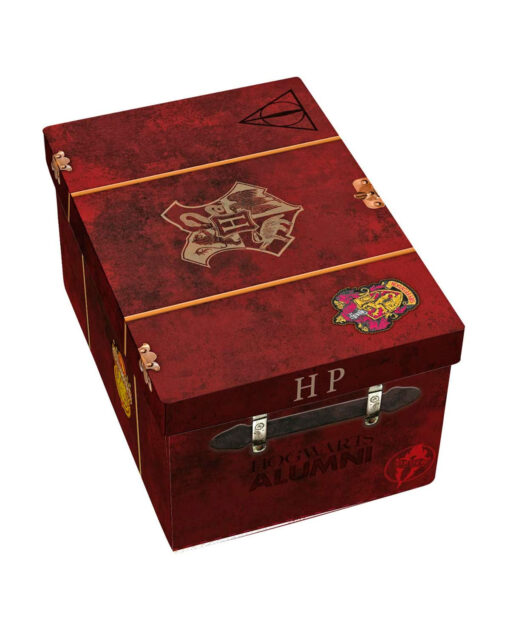 PAQUETE HARRY POTTER TAZA 3D HEDWIG LLAVERO SNITCH PIN HEDWIG - Image 3