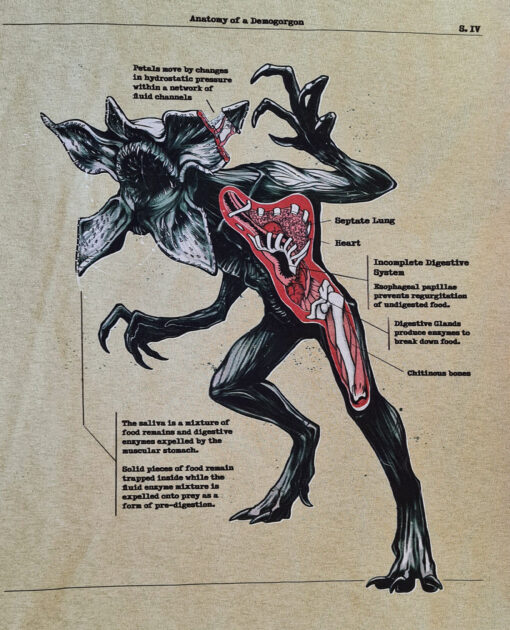 PLAYERA BEIGE ANATOMIA DEL DEMOGORGON CHICA - Image 3