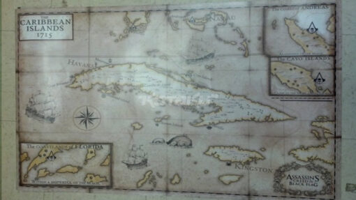 ASSASSINS CREED IV BLACK FLAG LIMITED EDITION - Image 2
