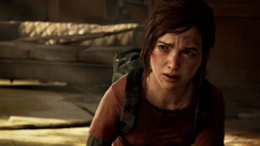 THE LAST OF US PART 1 - Image 2