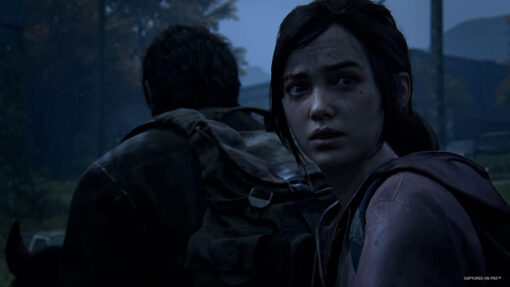 THE LAST OF US PART 1 - Image 3