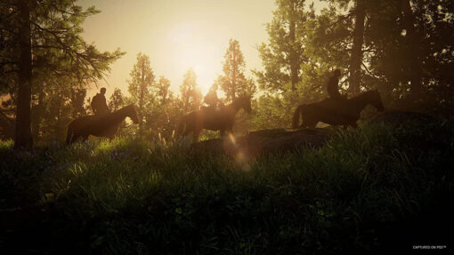 THE LAST OF US PART 1 - Image 4