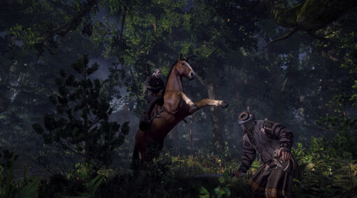 THE WITCHER 3 WILD HUNT COLLECTORS EDITION - Image 8