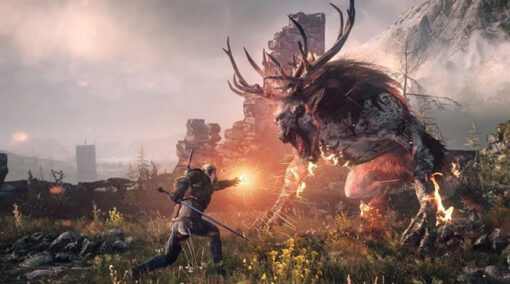 THE WITCHER 3 WILD HUNT COLLECTORS EDITION - Image 12