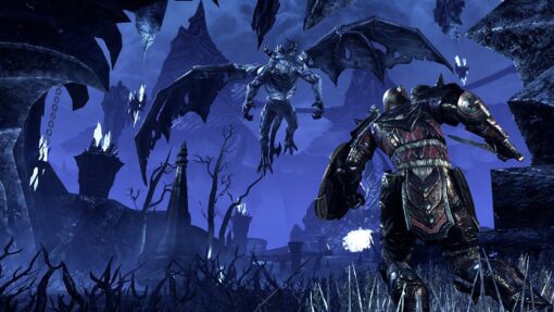 THE ELDER SCROLLS ONLINE TAMRIEL UNLIMITED IMPERIAL EDITION - Image 3