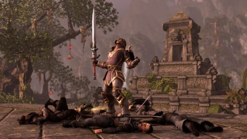 THE ELDER SCROLLS ONLINE TAMRIEL UNLIMITED IMPERIAL EDITION - Image 5