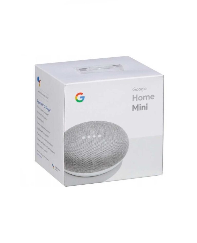 GOOGLE NEST MINI GRIS