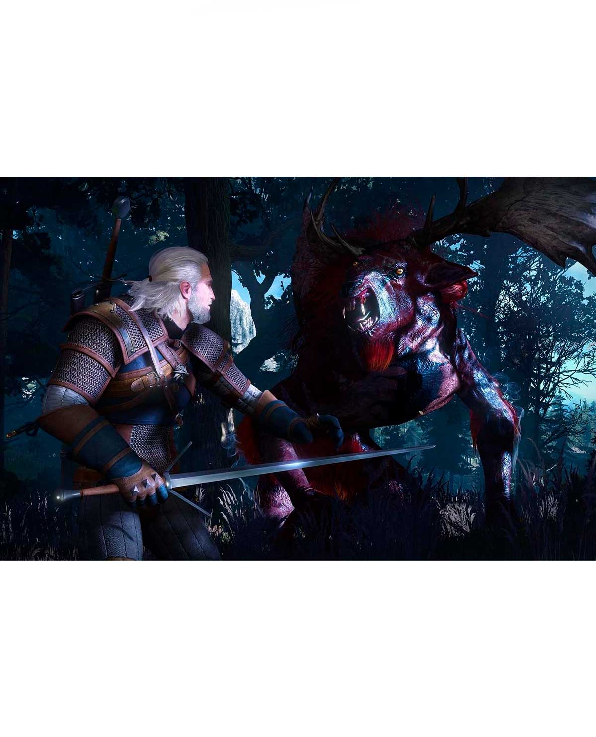 THE WITCHER 3 WILD HUNT - Image 3