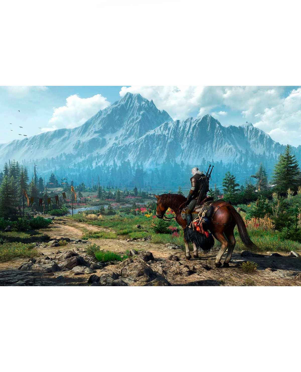 THE WITCHER 3 WILD HUNT - Image 4