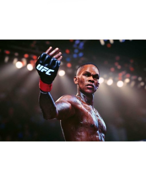 UFC 5 - Image 3