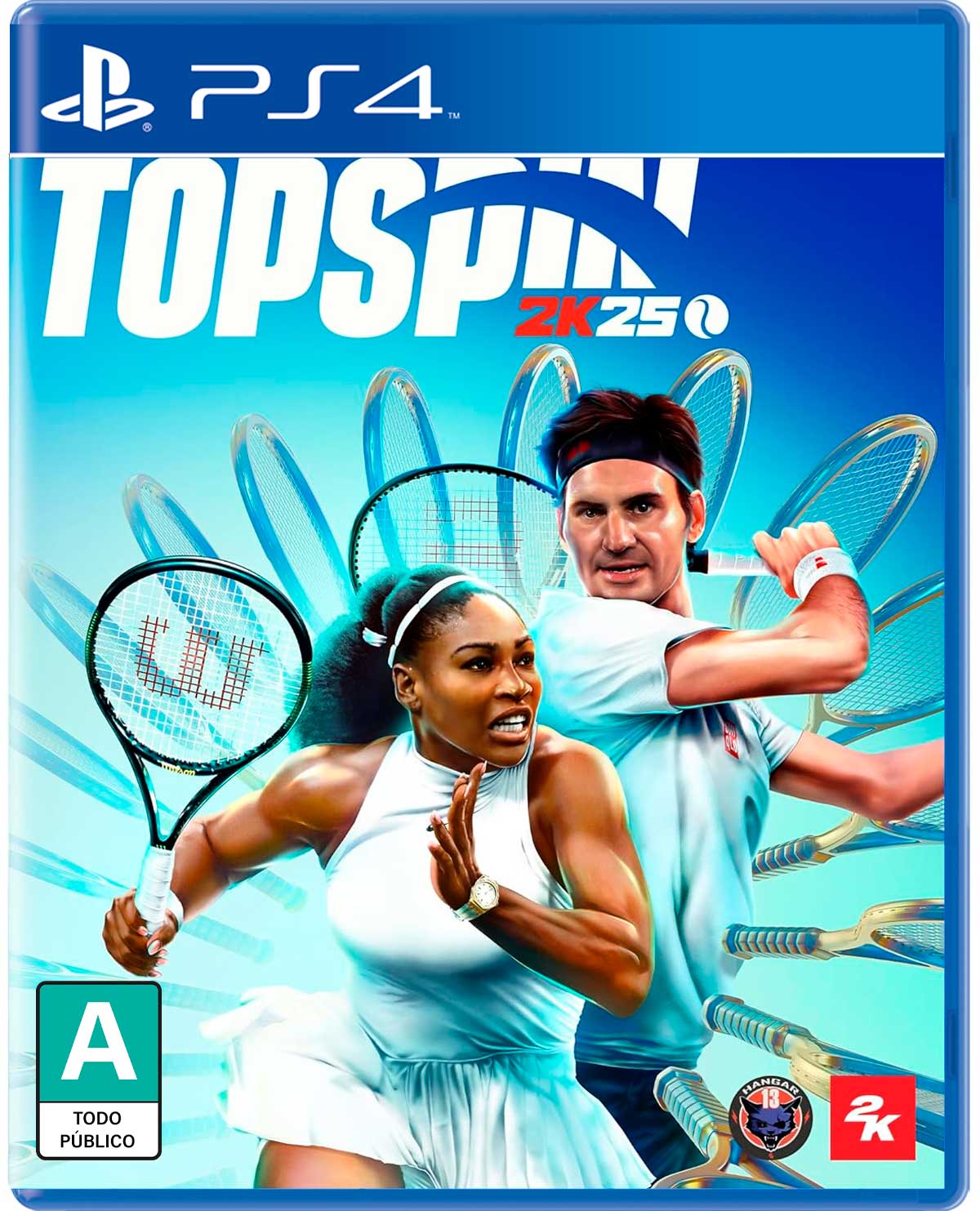 TOP SPIN 2K25