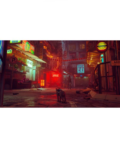 STRAY - Image 2