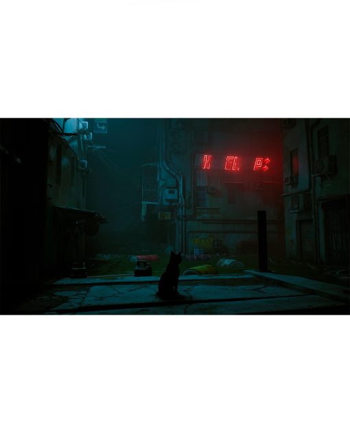 STRAY - Image 3