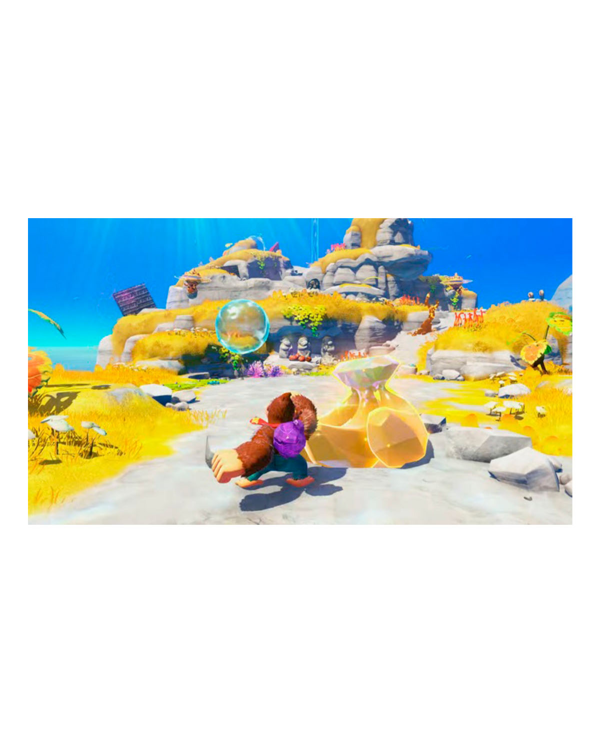 DONKEY KONG BANANZA - Image 5