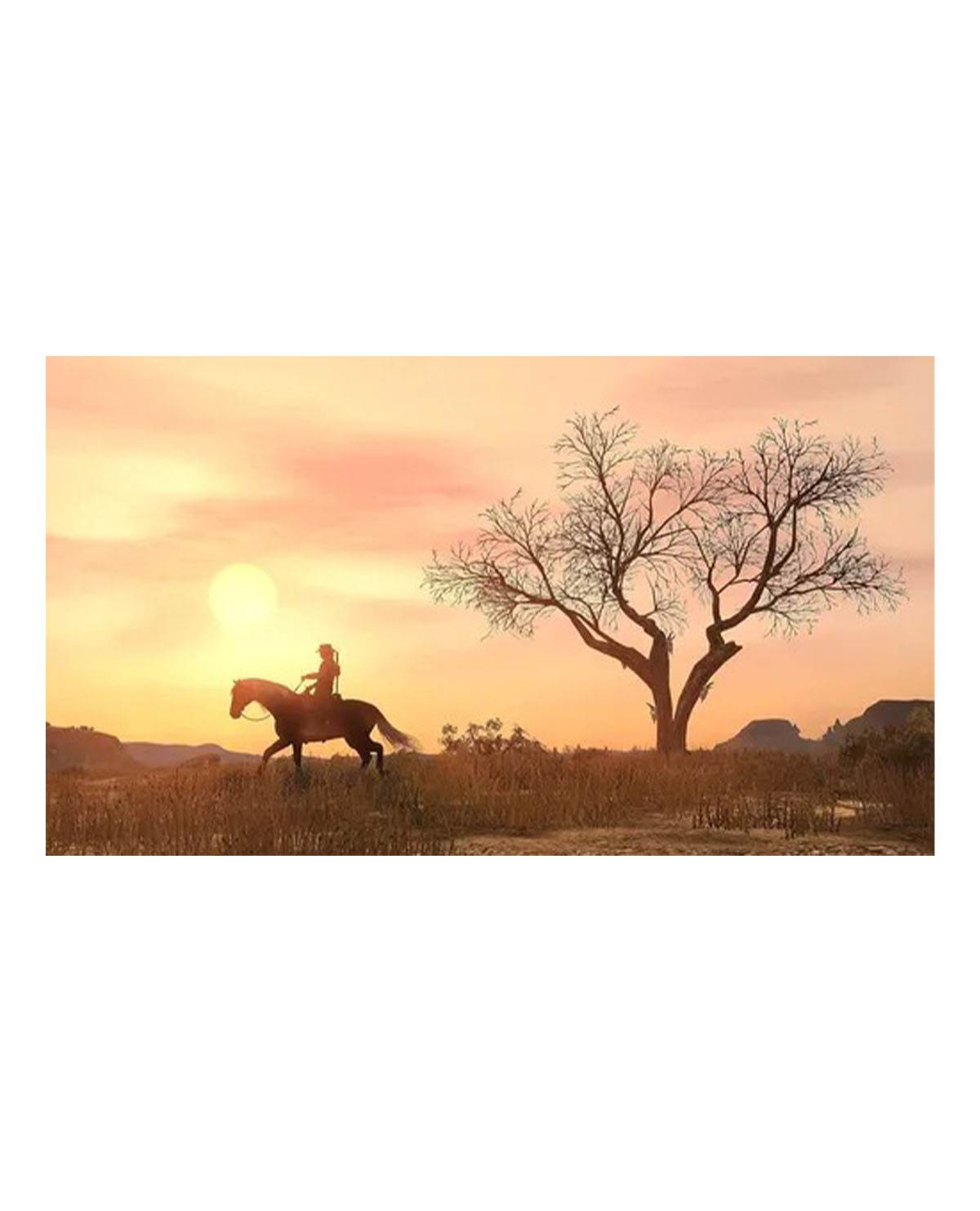 RED DEAD REDEMPTION - Image 3
