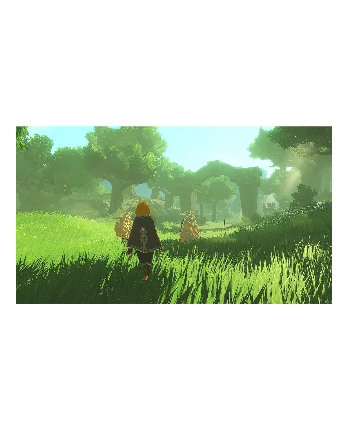 HYRULE WARRIORS AGE OF IMPRISONMENT - Image 2